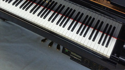 Player Piano - Stock Item 02